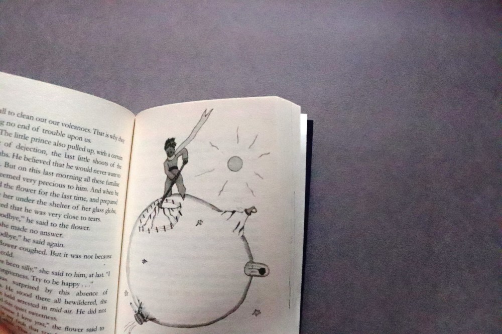 Booked for 100, #bookedfor100, The Little Prince , #thelittleprince