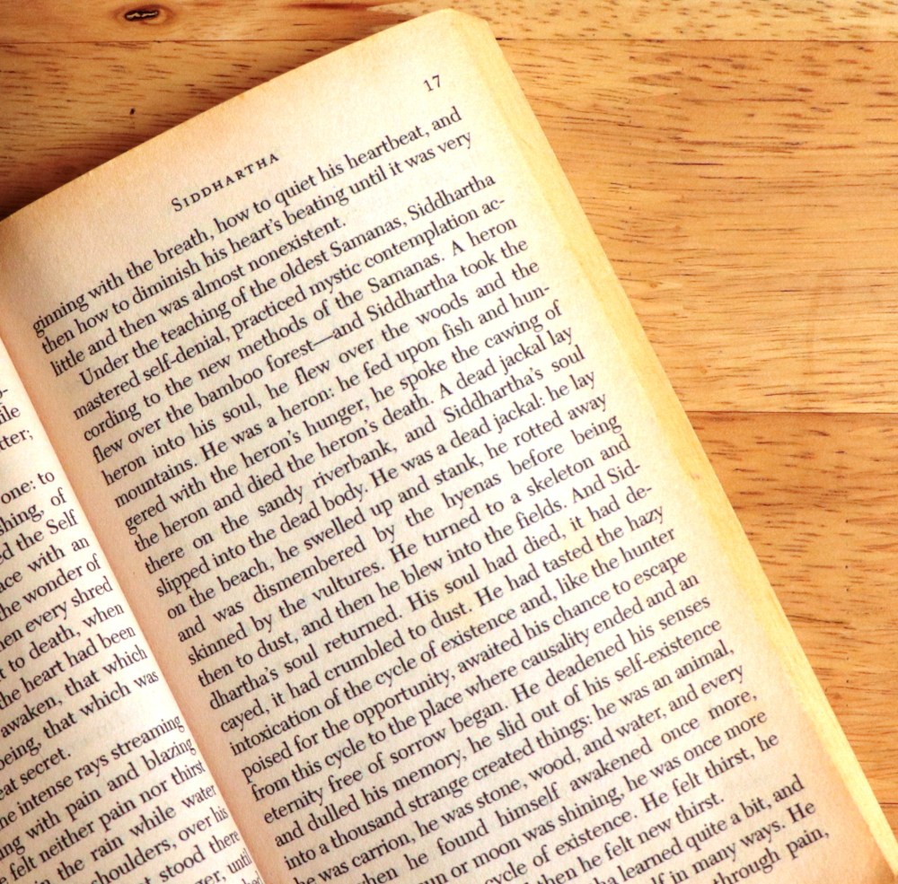 Siddhartha by Hermann Hesse, booked for 100, #bookedfor100, #siddhartha #hermannhesse