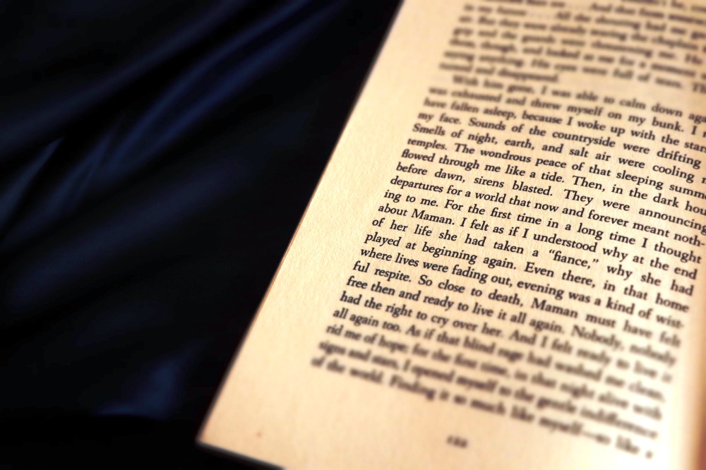 The Stranger by Albert Camus #thestranger #mersault #albertcamus #bookedfor100 #100bookstoread #top100bookstoread booked for 100 #blogaboutbooks #bookreview